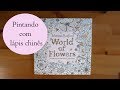 Pintando World of Flower com lápis Chinês (Brutfuner) - Parte 1