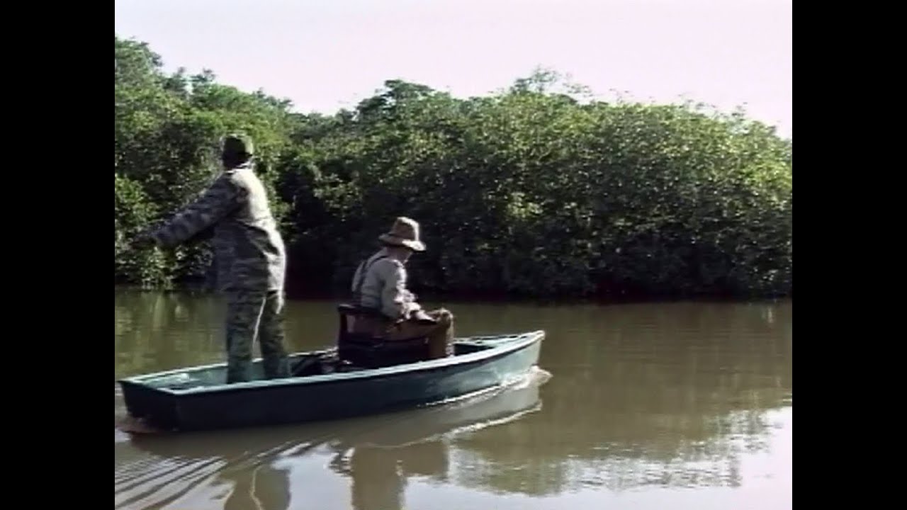 Un filmato dedicato a un luogo magico di Cuba, la riserva di Manatì, una zona incontaminata prediletta dai cacciatori.
Regia: Gigi Oliviero (gigi.oliviero3@gmail.com)
Voce: Claudio Capone
Durata: 4'20"
Visita il sito www.gigioliviero.it