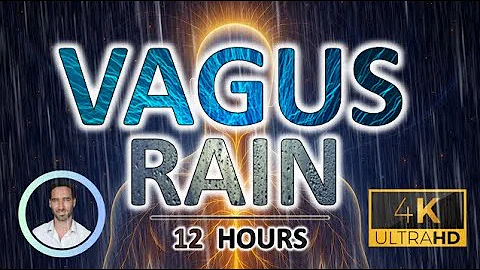 Soothing Vagus Nerve Rain | Cortisol Flushing Noise | 12 Hours | Sleep, Focus & Tinnitus Relief