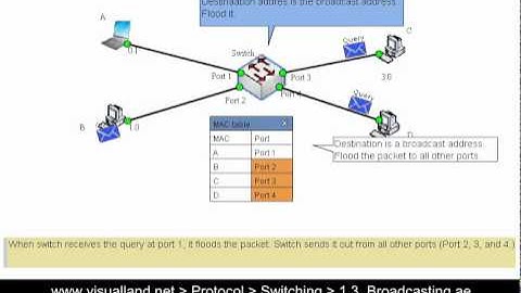 Switch: 1.3. How to switch broadcasting packets? [for begineers]