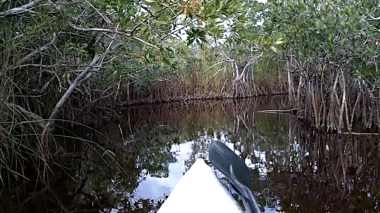 Start Of Hell's Bay Canoe Trail - Everglades National Park 