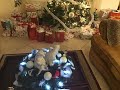 Christmas Eve 🎄Santa Stopped By🎄#christmas #santa