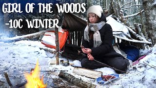 ❄️FROZEN WINTER-SOLO CAMPING  -11°C ❄️ Building Shelter on an Island