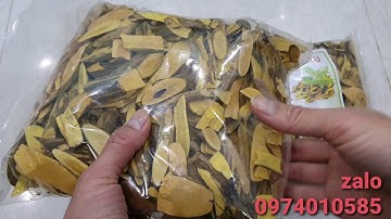 cây mật gấu giá bao nhiêu