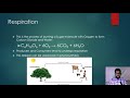 The Intricacies of the Carbon Cycle and Its Impact on Climate Change