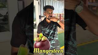 “When the Season Arrives”…..Mangosteen.”The Queen of Fruits”.