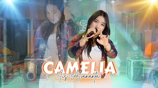 CAMELIA ⁉️ VERSI CEK SOUND - ADA VOCALNYA INI !! FYP TIK TOK !!! IIS ALIANANTA