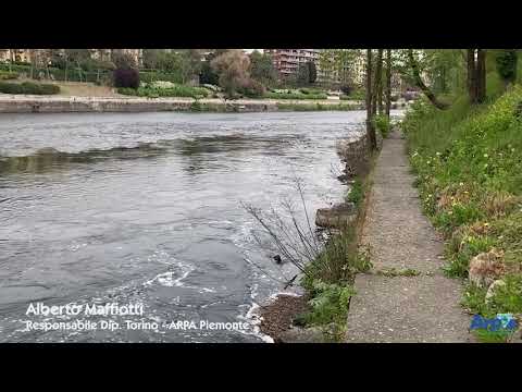 Fiume Po P.zza Vittorio - Torino  22 aprile 2021