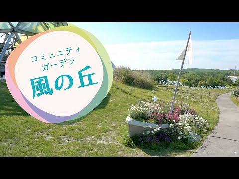 コミュニティガーデンを持続可能にする5つの実践ステップ