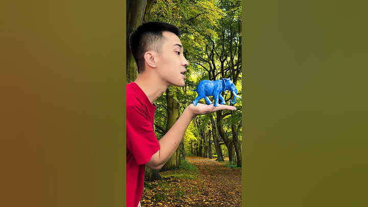 Herd of elephant in my mouth - Help the elephant return to the jungle
