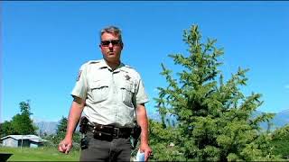 How to Become an Arkansas Game Warden - YouTube