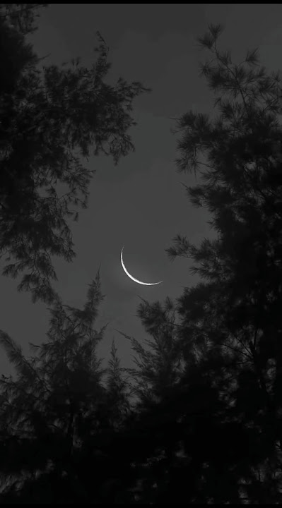 Rauf & Faik - Can't Buy Me Loving | Aesthetic | Trending | Sad | Alone #song #rauf_faik #darkvibes