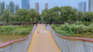 [4K HDR] 2024桃花潭 Peach Blossom Pond in XI'AN /All day/June 3, 2024