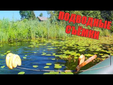 Опустил под воду СУХАРЬ, ПРЯНИК и СЛОЕНОЕ ПЕЧЕНЬЕ. Подводная съёмка ...