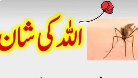 Rk motivation is live amazing words for great people #inspiration#eduction.