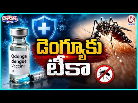 Good News Against Dengue! :India Approves First Dengue Vaccine For 4-60 Age Group | V6 Teenmaar - V6NEWSTELUGU