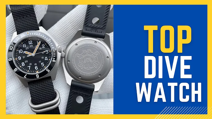 Best Dive Watch | STEELDIVE New In 45MM Stainless Steel Review in 2025