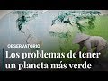 El planeta es cada vez ms verde pero no es tan buena noticia