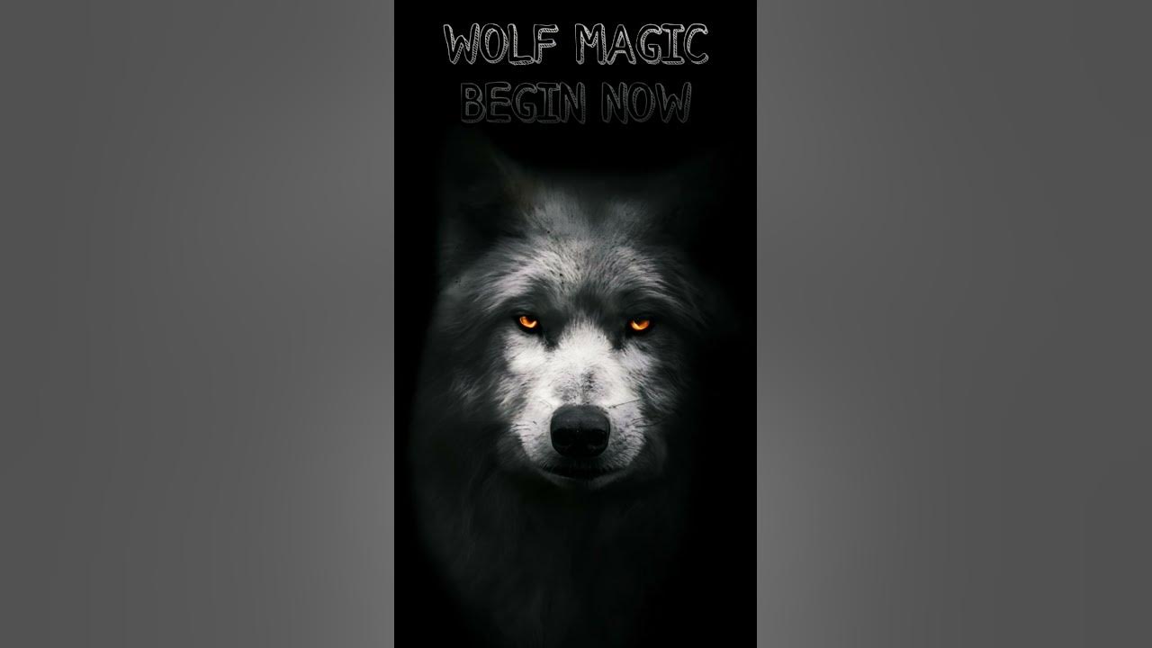 WOLF MAGIC BEGIN NOW INTRODUCTION Part 3 switchwords wolf wolf-magic-begin-now-introduction-part-3-switchwords-wolf