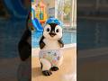 かわいいペンギンの赤ちゃん #shorts #かわいい #animal #baby #penguin #cute #adorable #pets #love