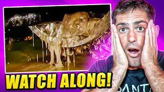 HOW CANOLA OIL IS MADE! 🤮