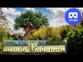 Animal Kingdom Scenery | VR180 3D VR