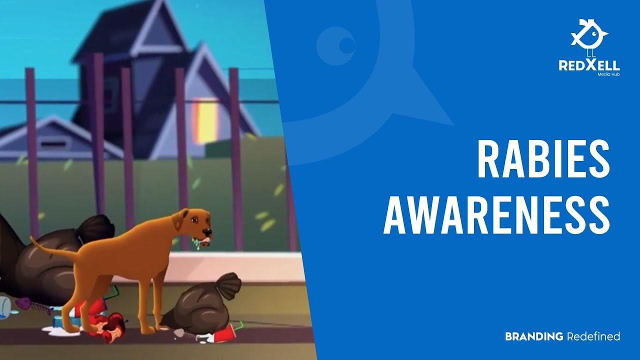 Rabies awareness | Redxell | Graphic Motion video - YouTube