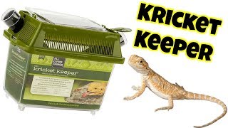 LUCKY REPTILE CRICKET KEEPER INCREASE THE SHELF LIFE OF FEED INSECTS 