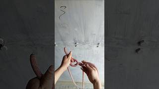 zeppelin bend#skill #knot #climbing #outdoor #zeppelin