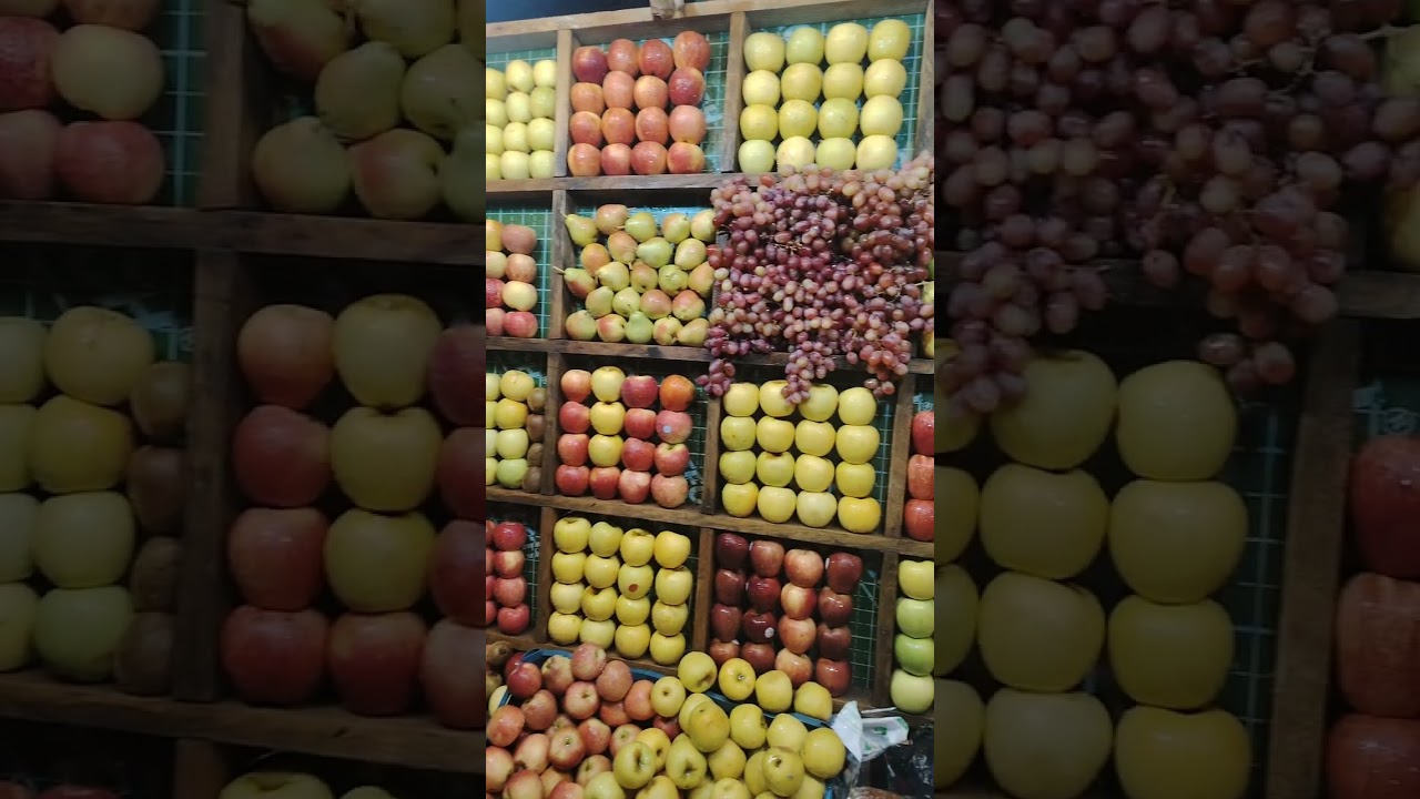 ٩ أكتوبر، ٢٠٢٥