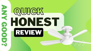 Socket Fan Light With Remote & App Control, 22-In Screw In Ceiling Fan For E26 Base Review