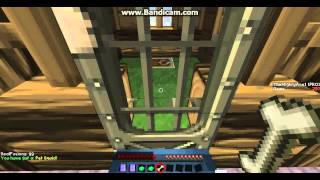 Super Craft Brothers Squid Cheat