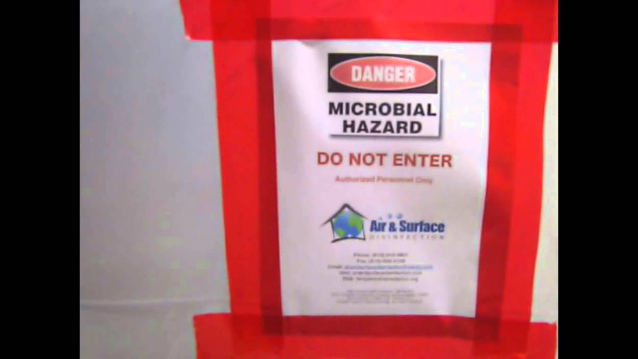 Air and Surface Disinfection, LLC Hits Mold Removal Home Run