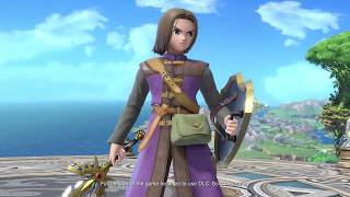 Hero (Mini Smash Bros/Dragon Quest Tribute)