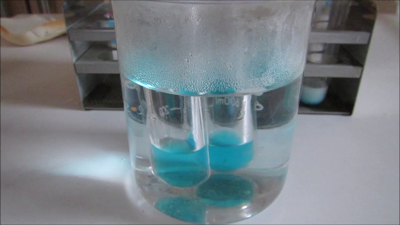 Testing food for reducing sugars YouTube