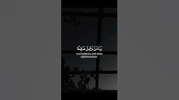 القرآن الكريم 🫀 سورة طه |القارئ شريف مصطفى