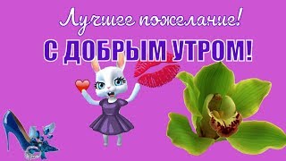 Новинка! Красивые видео пожелания с Добрым утром ! Новинка! Красивые видео пожелания с Добрым утром !