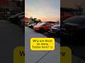 I Tried Counting Every Tesla… I Lost Track at 32 😳