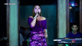 PRI MUSIC - DERMAGA BIRU - ANA SAFIRA - HAPPY WEDDING BAYU & ENDANG - KARANGGONDANG JEPARA