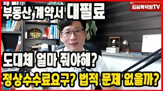 부동산계약서 대필료 얼마가 적정한가? 한도는? (법적책임)