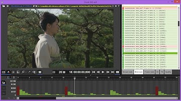 EVC Analysis with Zond 265