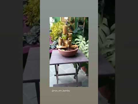 Vídeo: Bambu Kuril - Kuril Saza Ou Bambu (Sasa Kurilensis) - Uso Em Paisagismo