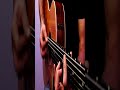In Good & Bad #acustic #guitar #solo #chords #shorts #loop #neima #album