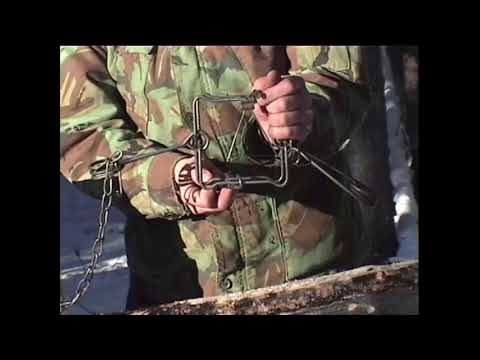 Fur Management-Marten with Ross Hinter