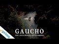 Gaucho  trailer  available now