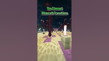 The Cleanest Minecraft Transitions #minecraft #clean #transition