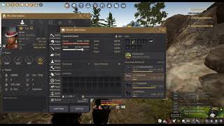 Black Desert Forest Path wagon stam/exp/power bug