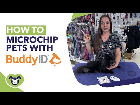 How to Microchip a Dog – A Must-Have Service for Groomers!