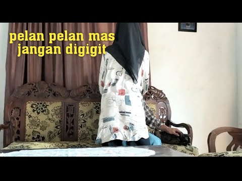 Maen sampe tujuh ronde di atas sofa