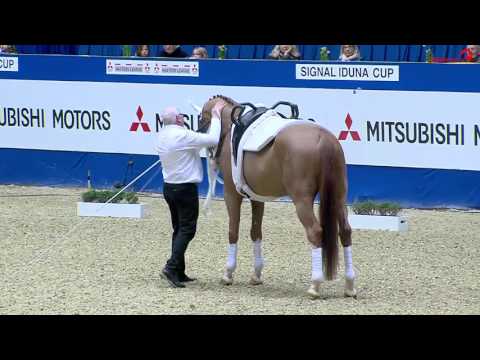 Anna Cavallaro | Monaco Franze | Warm up | Signal Iduna Cup Dortmund 2017